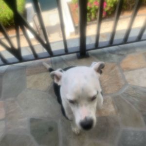 Custom post for Andrea